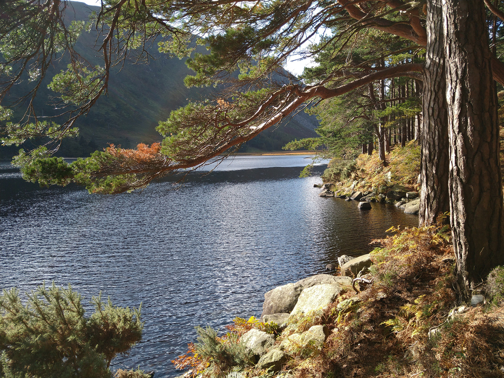 Kongregation der Helferinnen