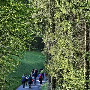 Traditionelle Wallfahrt nach Rein